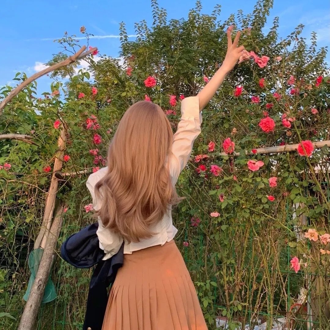芳心之歌