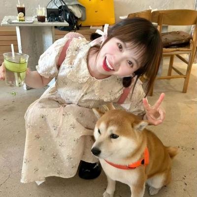 我们就是派对